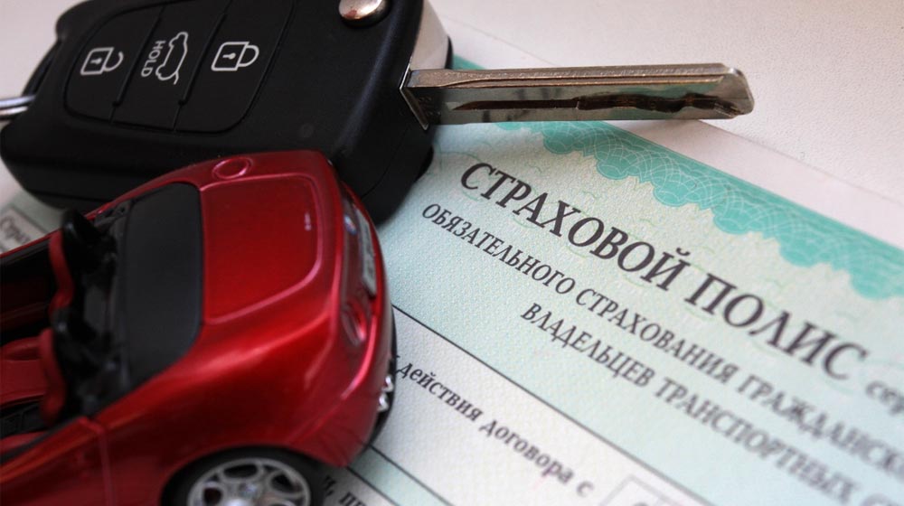 Покупка зеленой карты c 29.10.2019 в России